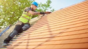 Best Roof Ventilation Installation  in Napavine, WA
